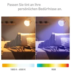 TINT MüllerLicht zigbee Smart+ LED Edison gold Retro 5,5W E27 EEK: F(SpektrumA-G)