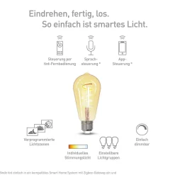 TINT MüllerLicht zigbee Smart+ LED Edison gold Retro 5,5W E27 EEK: F(SpektrumA-G)