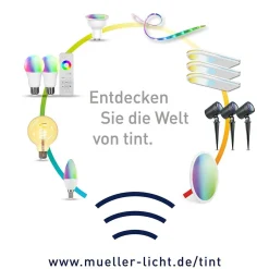 TINT MüllerLicht zigbee Smart+ LED Edison gold Retro 5,5W E27 EEK: F(SpektrumA-G)