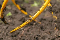 Tornadica 2in1 Gartenkralle - Vertikutierer und Unkrautentferner in einem
