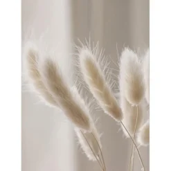 Trayosin 3er Premium Poster Set, Schilf Natur Leinwandbilder, Moderne