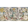 TREFL Puzzle UFT Ancient Celestial Maps 9000 Teile