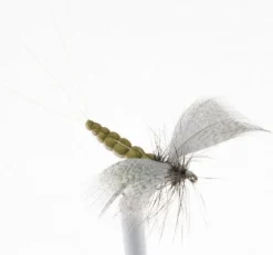 Trockenfliege - Maifliege - Mayfly Dun ext. Body - mit Widerhaken