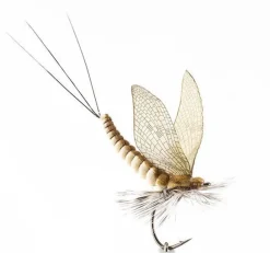 Trockenfliege - Maifliege - Mayfly Dun ext. Body - mit Widerhaken