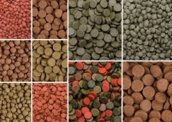 Tropical Tabletten Vege, Color, Garlic, Spirulina Haft- und Bodentabletten Fisch