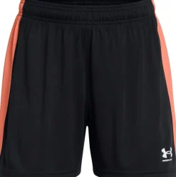 Under Armour Damen Ua W'S Ch. Knit Short