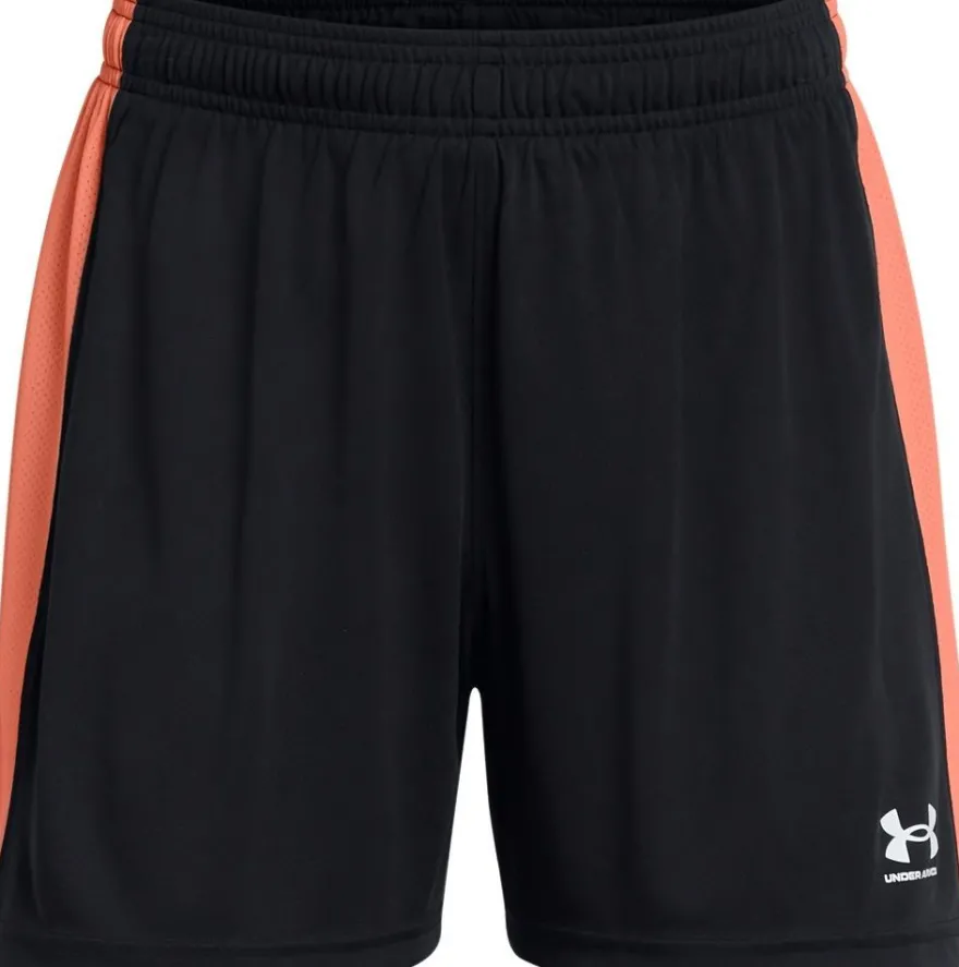Under Armour Damen Ua W'S Ch. Knit Short