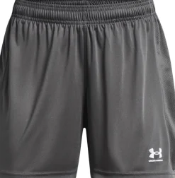 Under Armour Damen Ua W'S Ch. Knit Short