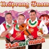 Ursprung Buam: Stehaufmandl - Tyrolis Handels-GmbH - (CD / S)