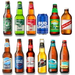 USA Bier Mix - die beliebtesten Biere in einem Set 24 x 330/355ml- USA & Kanada