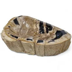 Versteinertes Holz Waschbecken XXL #49 Versteinertem Fossiles Naturstein