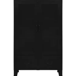 vidaXL Büroschrank mit Maschengittertüren Industriell 75×40×120 cm Stahl