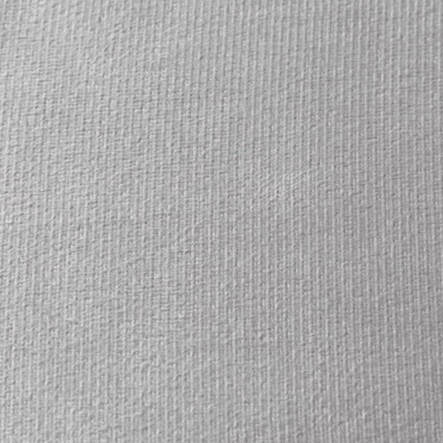 vidaXL Kinder-Schlafsofa 2-Sitzer Hellgrau Weicher Plüsch