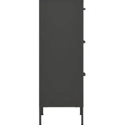 vidaXL Lagerschrank Anthrazit 42,5x35x101,5 cm Stahl