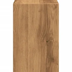 vidaXL Monitorständer mit Schreibtisch-Organizer Artisan-Eiche