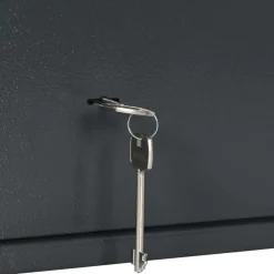 vidaXL Safe Box mit Schloss Dunkelgrau 35 x 25 x 25 cm Stahl