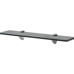 vidaXL Schwebende Regale 2 Stk. Glas 50x10 cm 8 mm