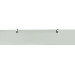 vidaXL Schweberegale 2 Stk. Glas 100x20 cm 8 mm