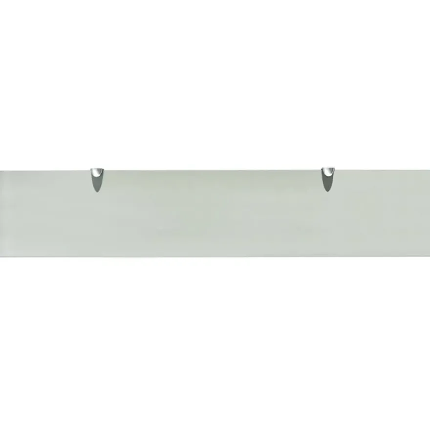 vidaXL Schweberegale 2 Stk. Glas 100x20 cm 8 mm