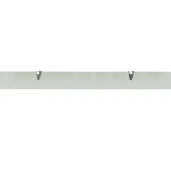 vidaXL Schweberegale 2 Stk. Glas 100x10 cm 8 mm