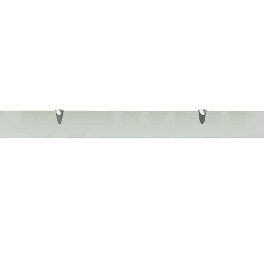 vidaXL Schweberegale 2 Stk. Glas 100x10 cm 8 mm