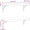 vidaXL Wandregale 2 Stk. 50x23,5 cm Schwarz Edelstahl