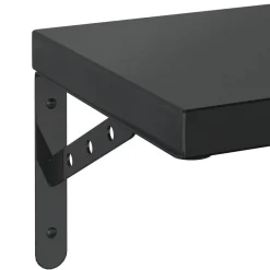 vidaXL Wandregale 2 Stk. 50x23,5 cm Schwarz Edelstahl