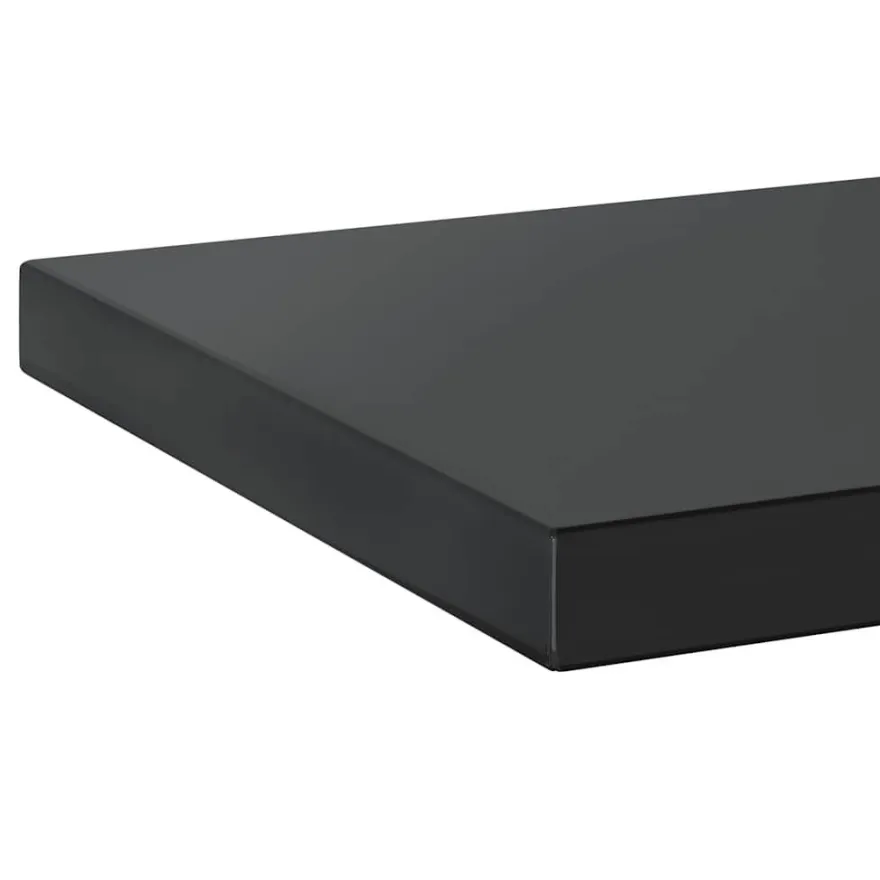 vidaXL Wandregale 2 Stk. 50x30 cm Schwarz Edelstahl