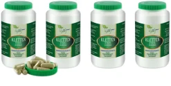 VlTA IDEAL Vegan® Kletten Wurzel Kapseln - Burdock - Bardanae Radix - Klettenwurzel