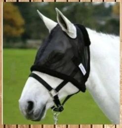 Waldhausen Fliegenmaske, Fliegenmütze, Fliegenhaube ohne Ohren, schwarz, Pony