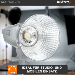 Walimex Ersatzblitzröhre VC-200/300 Typ 2 300W 5400-5800K Ersatz Blitz Studio