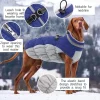 Wasserdichter Hundemantel Winterjacke für Hunde Kleine Mittlere Große Blau