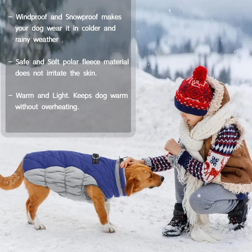 Wasserdichter Hundemantel Winterjacke für Hunde Kleine Mittlere Große Blau