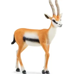 Wild Life Thomson Gazelle