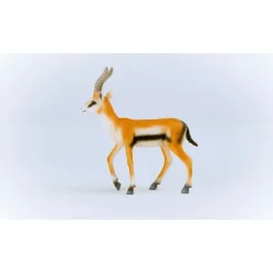 Wild Life Thomson Gazelle