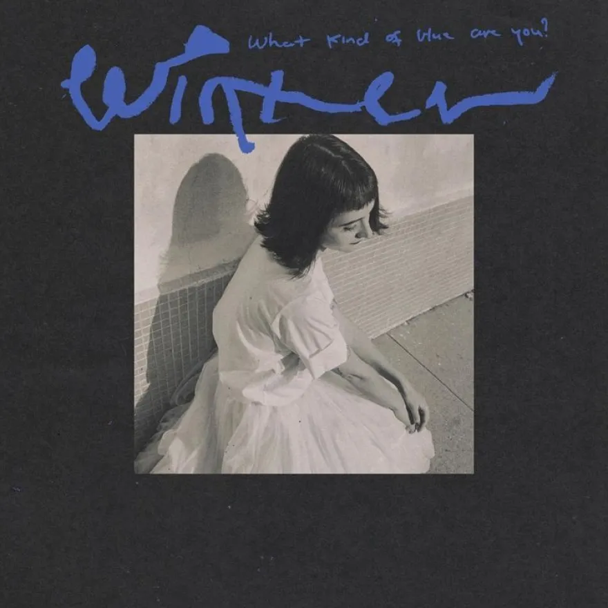 Winter: What Kind Of Blue Are You? - 375 Media - (LP / W)