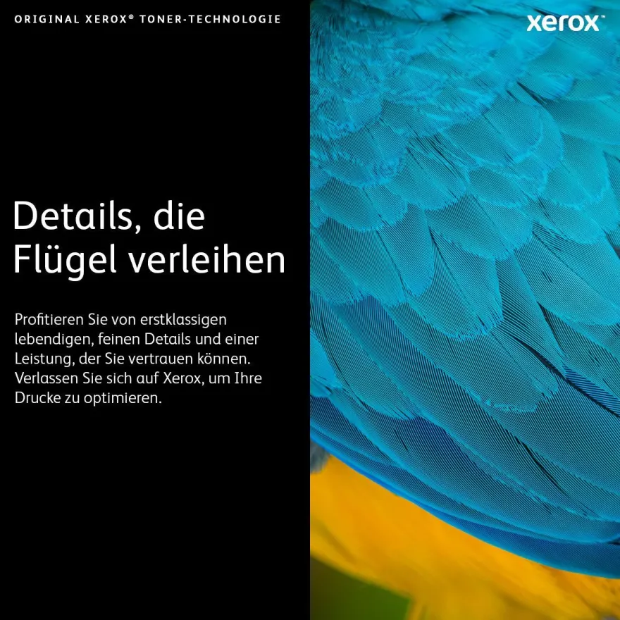 XEROX Toner cyan 106R03518 (ca. 4.800 Seiten)