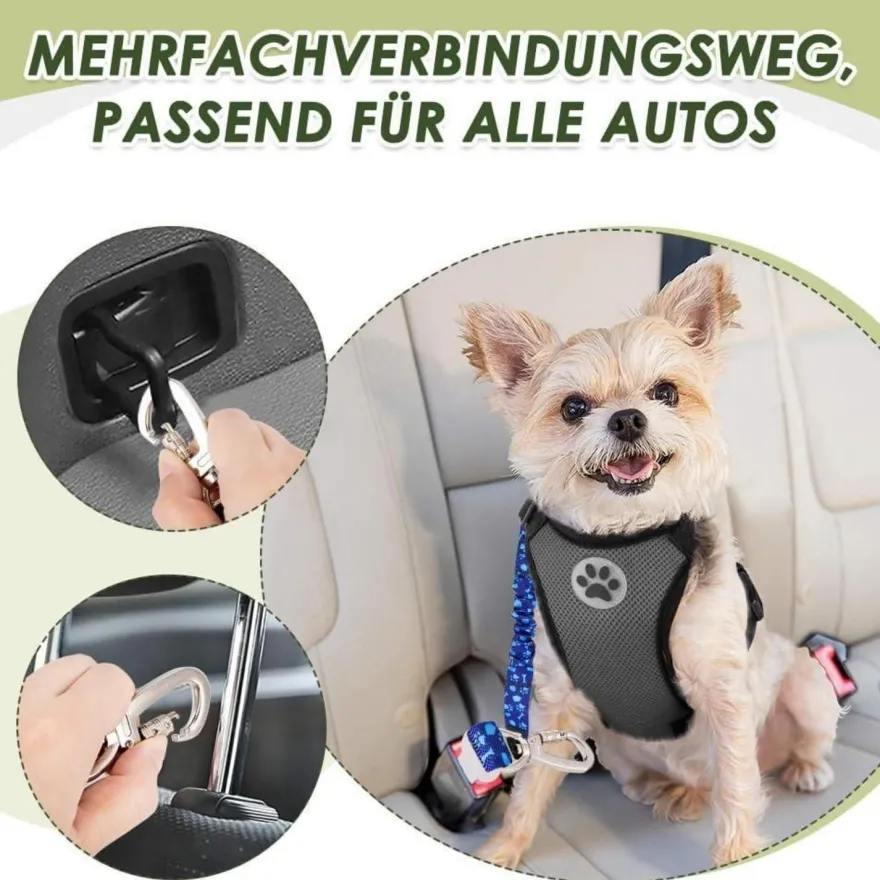 2x Eyein Hundesicherheitsgurt fürs Auto, verstellbar mit Ruckdämpfung, blau
