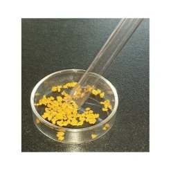 10x Futterrohr aus Glas 10/12mm - L: ca. 300mm - Garnelenfutter in Futterschale