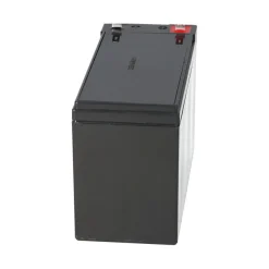 2x Kung Long AGM Akku 12V 7,2Ah passend für Alber scalamobil S10/S20