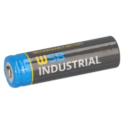 10x WSB Industrial IFR 14500 AA Solar Akku LiFePO4 3,2V 600mAh