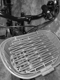 28 ZOLL Damenrad 21-GANG Shimano Schaltung & LICHT & KORB NEU 2810--GOLD